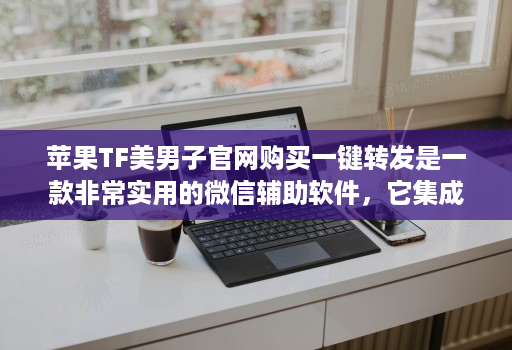 苹果TF美男子官网购买一键转发是一款非常实用的微信辅助软件,它集成了多个实用功能