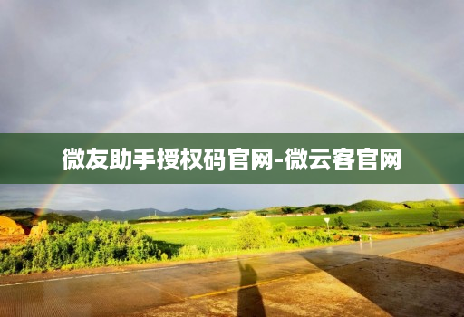 微友助手授权码官网-微云客官网