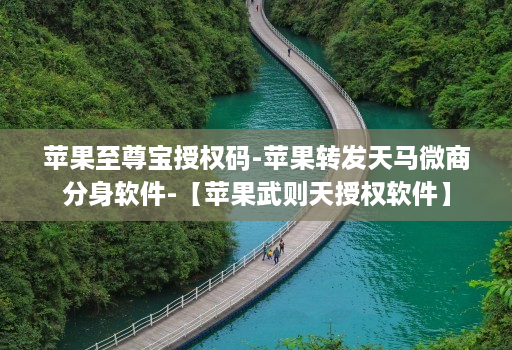 苹果至尊宝授权码-苹果转发天马微商分身软件-【苹果武则天授权软件】