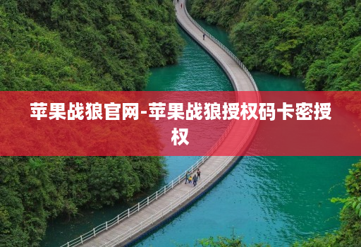 苹果战狼官网-苹果战狼授权码卡密授权