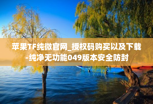 苹果TF纯微官网_授权码购买以及下载-纯净无功能049版本安全防封