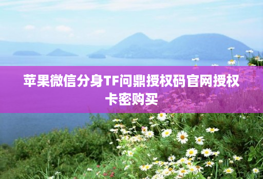 苹果微信分身TF问鼎授权码官网授权卡密购买