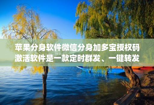 苹果分身软件微信分身加多宝授权码激活软件是一款定时群发、一键转发、自动跟圈分身的软件。
