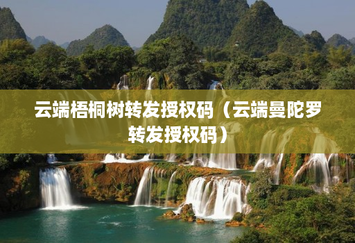 云端梧桐树转发授权码（云端曼陀罗转发授权码）