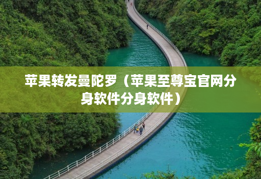 苹果转发曼陀罗(苹果至尊宝官网分身软件分身软件)