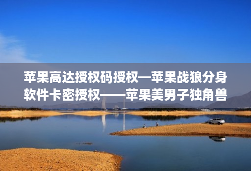 苹果高达授权码授权—苹果战狼分身软件卡密授权——苹果美男子独角兽包稳定iPad模式
