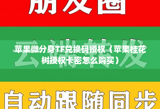 苹果微分身TF兑换码授权（苹果桂花树授权卡密怎么购买）