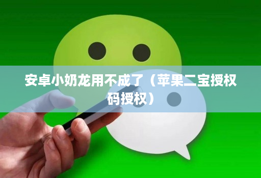 安卓小奶龙用不成了（苹果二宝授权码授权）