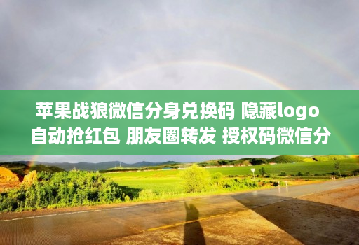 苹果战狼微信分身兑换码 隐藏logo 自动抢红包 朋友圈转发 授权码微信分身分身软件