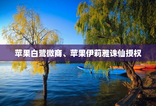 苹果白鹭微商、苹果伊莉雅诛仙授权
