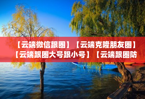 【云端微信跟圈】【云端克隆朋友圈】【云端跟圈大号跟小号】【云端跟圈防封测试版】
