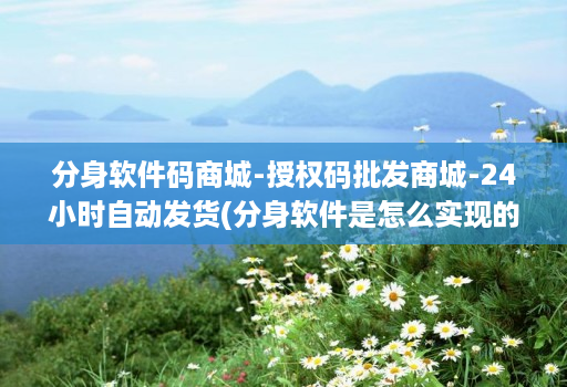 分身软件码商城-授权码批发商城-24小时自动发货(分身软件是怎么实现的 )