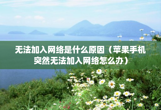 无法加入网络是什么原因(苹果手机突然无法加入网络怎么办)