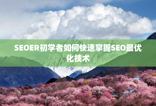 SEOER初学者如何快速掌握SEO最优化技术