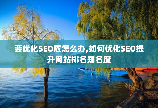 要优化SEO应怎么办,如何优化SEO提升网站排名知名度