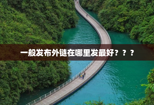 一般发布外链在哪里发最好???