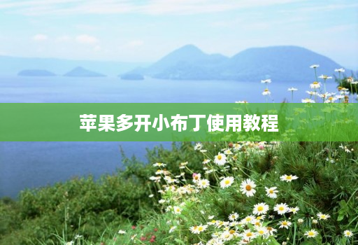 苹果多开小布丁使用教程