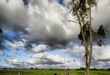 苹果微兰转发授权码(微信如何设置授权码)