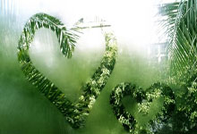 苹果手机如何微信转发朋友圈?安卓是否一样