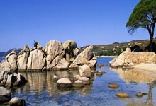 【淘爱卡】软件代理加入介绍和要求(苹果转发安卓转发云端转发)