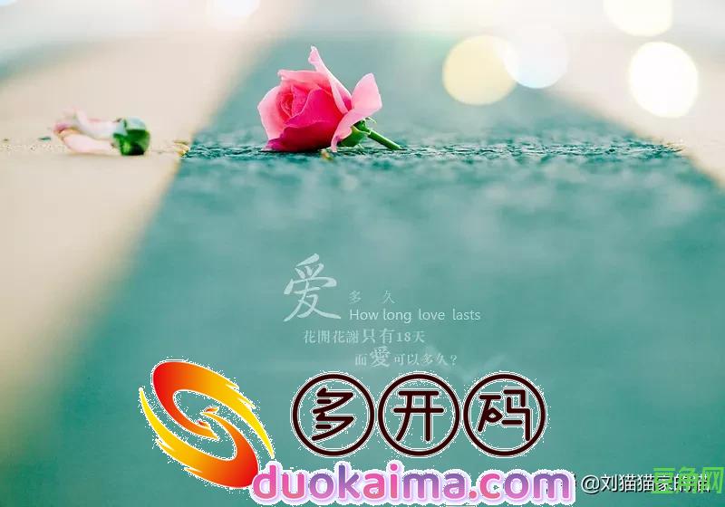 我出轨了老公也出轨了怎么办(老公出轨自己也出轨了)