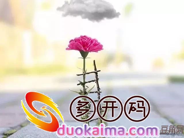 我出轨28岁的白富美,老婆发现后不哭不闹,我却迎来最狠的报复