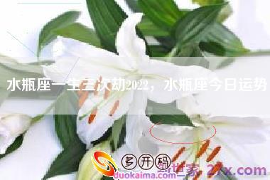 水瓶座一生三次劫2022,水瓶座今日运势